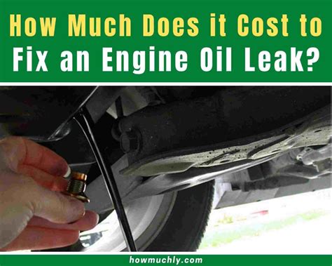 How much does it cost to fix an oil leak - But if the leak is due to a faulty component like a purge valve or a canister, the cost can go up. These parts can range from $100 to $200, and that’s not including labor. If you’re going to a mechanic, you can expect to pay anywhere from $100 to $200 in labor costs. In the worst-case scenario, if the charcoal canister itself is damaged ...